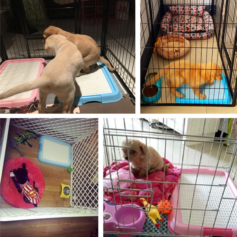 Plastična posuda za WC za male pse, mrežasta mreža za kućne ljubimce, mačke, pse, WC, jastučić za treniranje WC-a, pladanj za toaletnu kutiju za kućne ljubimce za proizvode za čišćenje pasa