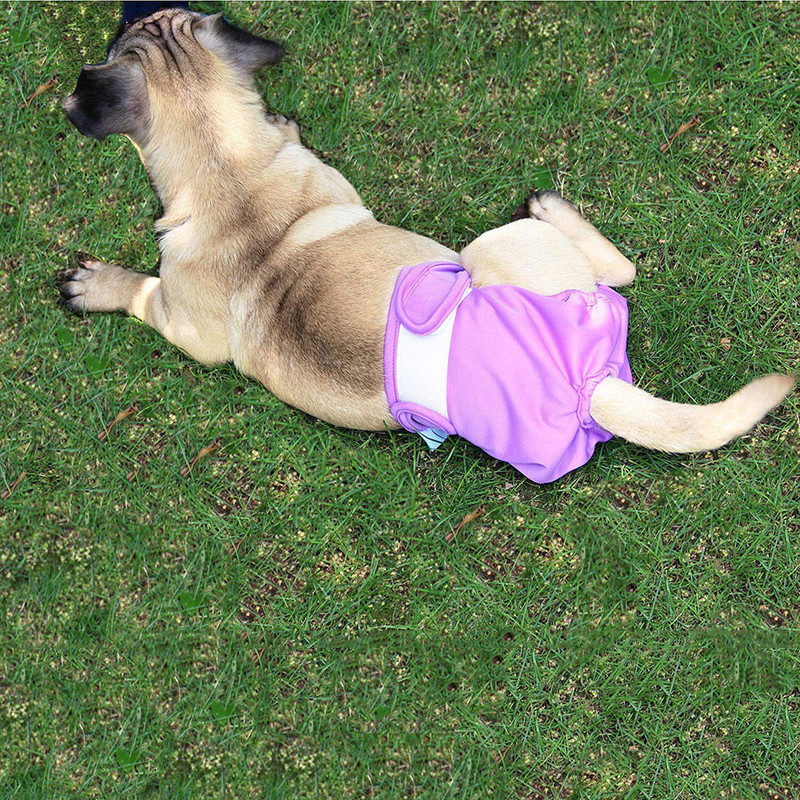 Многократно миещи се пелени за кучета Женски силно абсорбиращи пелени за кучета Регулируеми домашни любимци Кученца Момичета Кучета Периодични Физиологични бикини