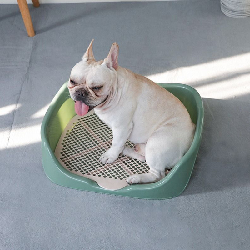 2 veličine Prijenosni mačji WC za pse Plastični dresura Mačić Zec Doggy Lonci Umivaonik za kućne ljubimce Štene Potrepštine za unutarnju nuždu Proizvod