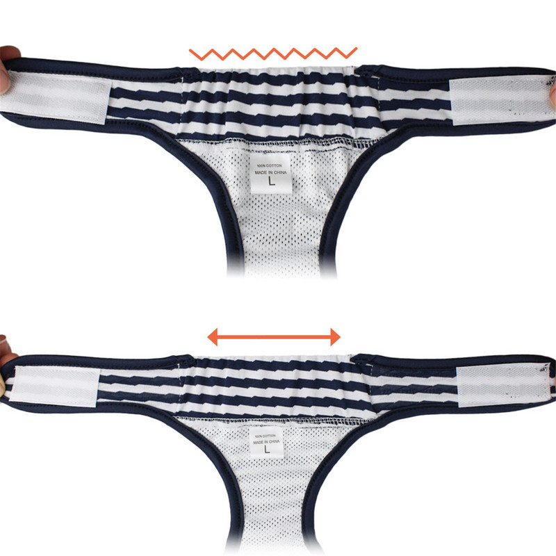 Mājdzīvnieku fizioloģiskās bikses suns menstruālās bikses Dora pret uzmākšanos Estrus biksītes mazas vidējas suņu kokvilnas veselības bikses rotaļu autiņbiksītes