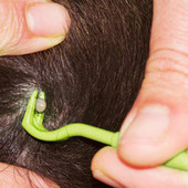 2PCS Pets Tick Removal Tool Dual Teeth Tick Twister Котки Кучета Почистващи принадлежности Акари Twist Hook Remover Hook Зоотовари