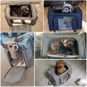 Τσάντα μεταφοράς σκύλου Μαλακό πλαϊνό σακίδιο πλάτης Γάτα Μεταφορείς κατοικίδιων ζώων Τσάντες ταξιδίου για σκύλους Εγκεκριμένες αεροπορικές μεταφορές για μικρά σκυλιά Γάτες εξερχόμενες