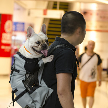 Дишаща чанта за носене на кучета за големи кучета Голдън ретривър Булдог Раница Регулируеми чанти за пътуване с големи кучета Продукти за домашни любимци