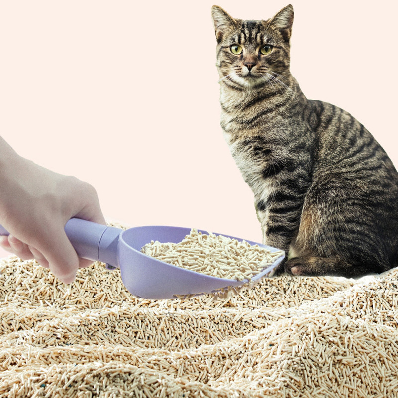 Kaķu pakaišu lāpsta Plastmasas kaķu izkārnījumu liekšķere ar mājdzīvnieku tīrīšanas rīku Kaķu tualetes izstrādājumi Izturīga pakaišu kastes tīrīšanas lāpsta