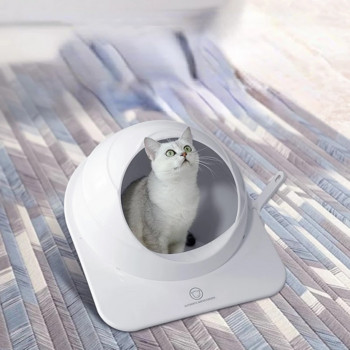 Sandbox Pet Cat Toilets Litter Box Αποσμητικό Κρεβατόπανο Γάτα Εκπαίδευση Χώρος με απορρίμματα Κάψουλα Προμήθειες για κατοικίδια Μεγάλος δίσκος Αξεσουάρ