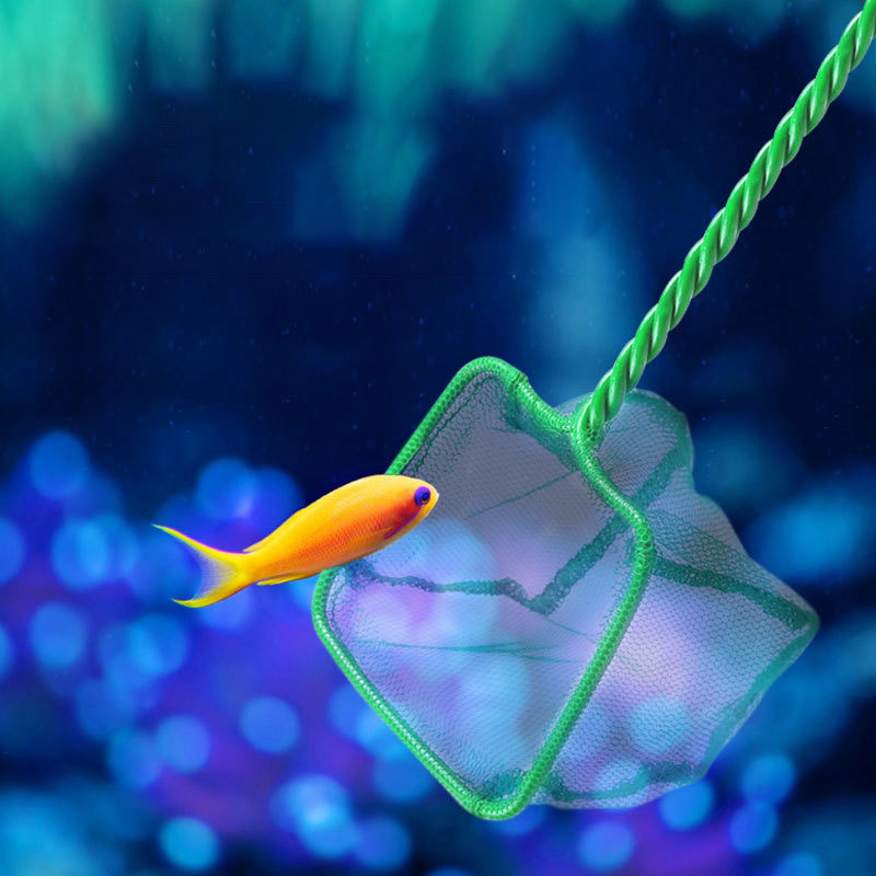 Prijenosna mreža za ribu Duga ručka Četvrtasti dodaci za akvarij Mreža za podmetanje akvarija za ribe koje plutaju Mreža za rakove Alat za čišćenje