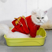 Kutija za mačji pijesak Otvorena, pojačana, produbljena, protiv prskanja Kutija za pijesak velikog kapaciteta, Sredstva za čišćenje WC-a