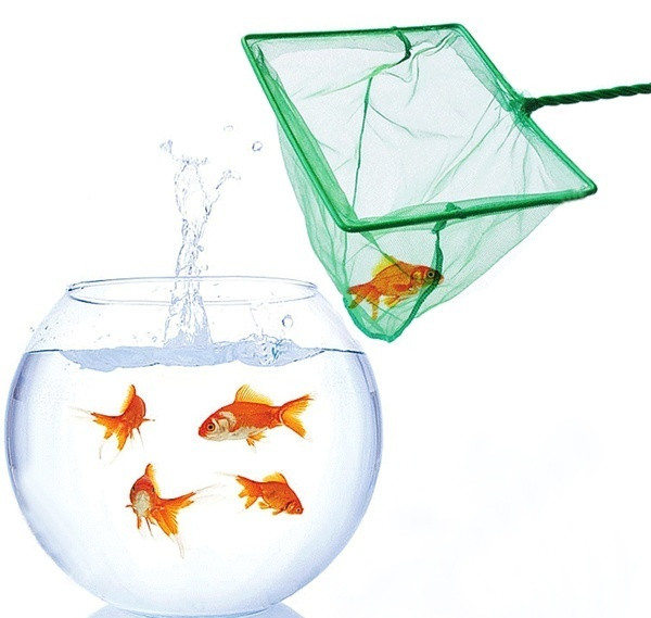 Zelena prijenosna mreža s dugačkom ručkom, četvrtasti akvarijski akvarij, mreža za pecanje, mreža za spuštanje riba, plutajući predmeti, alati za čišćenje