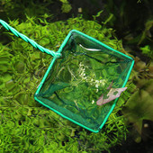 Pārnēsājams zivju tīkls ar garu rokturi kvadrātveida akvārija zivju tvertņu garneles Mazas Betta Tetra zivju izkraušanas tīkls peldošu priekšmetu tīrīšanas rīks