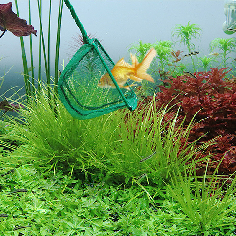 Pārnēsājams zivju tīkls ar garu rokturi kvadrātveida akvārija zivju tvertņu garneles Mazas Betta Tetra zivju izkraušanas tīkls peldošu priekšmetu tīrīšanas rīks