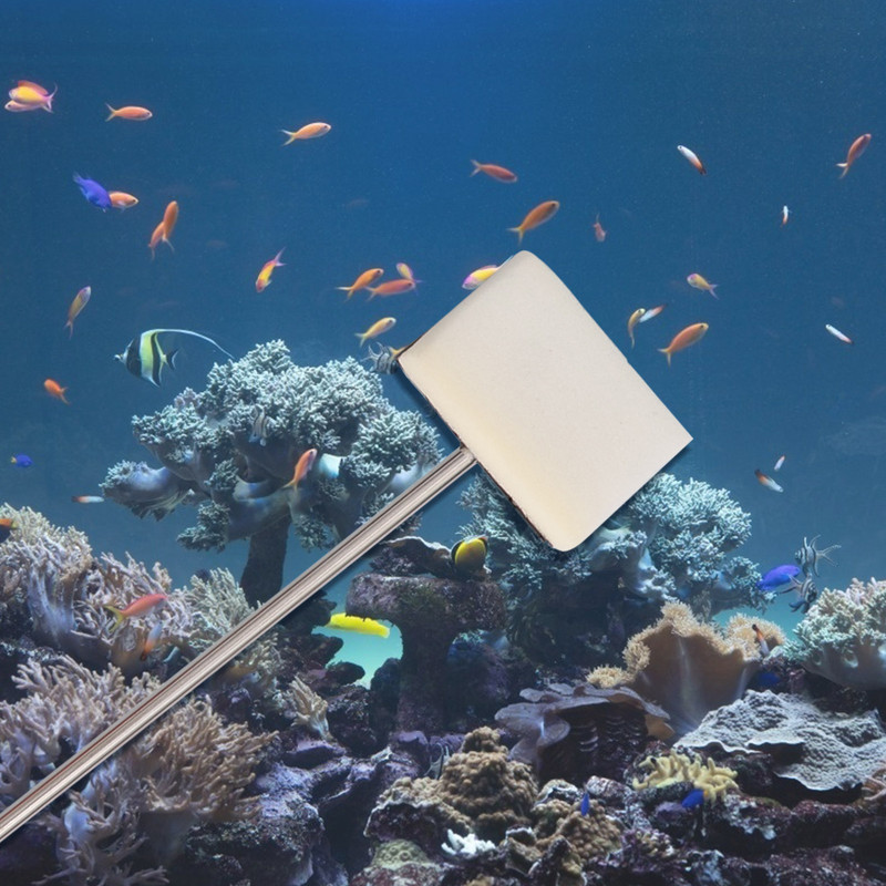 Čišćenje akvarija Čistač spremnika Četka Strugač za alge Spužva Alati Ribalice Četke Alat Aquascaping Teleskopske kutne strugalice