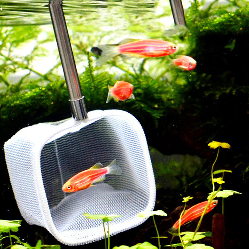 Uvlačiva 3D mreža za hvatanje račića Akvarij za hvatanje račića Čišćenje Prijenosna mreža za ribu Duga ručka Četvrtasti pribor Alat