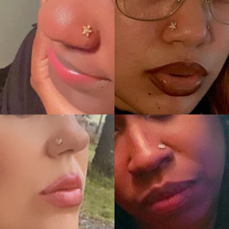 Mali prstenovi za nos od kirurškog čelika, cirkonski cvijet u obliku srca, 20 g nakit za piercing za žene, muškarce, poklon