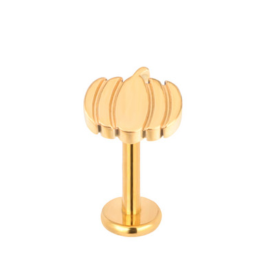 ASTM F136 Titanium BUŠILICA ZA UŠI Javorov list Kornjača Pčela Galeb Nitovi za uho Labret Naušnica za usne Hrskavica NAUŠNICA Nakit za piercing