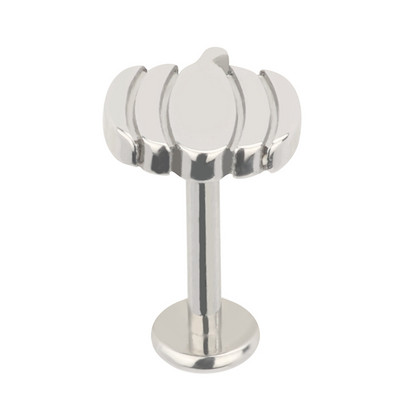 ASTM F136 Titanium BUŠILICA ZA UŠI Javorov list Kornjača Pčela Galeb Nitovi za uho Labret Naušnica za usne Hrskavica NAUŠNICA Nakit za piercing