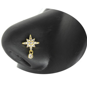 Nakit za piercing u nosu Ženske karike za nos od nehrđajućeg čelika Nakit za viseći nos s dragim kamenjem L zavojnice za nos Nakit za tijelo