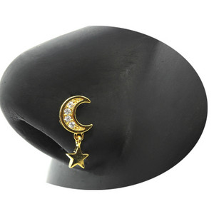 Nakit za piercing u nosu Ženske karike za nos od nehrđajućeg čelika Nakit za viseći nos s dragim kamenjem L zavojnice za nos Nakit za tijelo