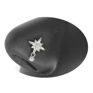 Nakit za piercing u nosu Ženske karike za nos od nehrđajućeg čelika Nakit za viseći nos s dragim kamenjem L zavojnice za nos Nakit za tijelo