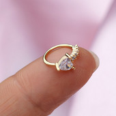 18G 1tk augustamine nina rõngas kõrva nina rõngad Heart Star Cz Helix kõhre tragus kõrvarõngad ninasõõrme keha ehted