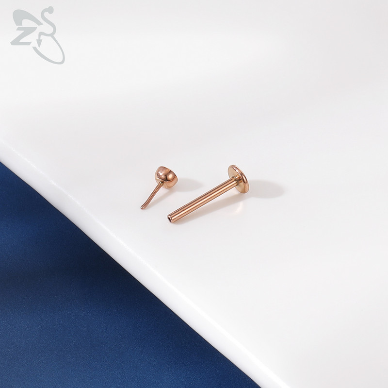 ZS 6-15 kom/lot Plug-in Style 316L nehrđajući čelik Piercing za usne Labret CZ Crystal Threadless Helix Conch Monroe piercing 6-12 MM