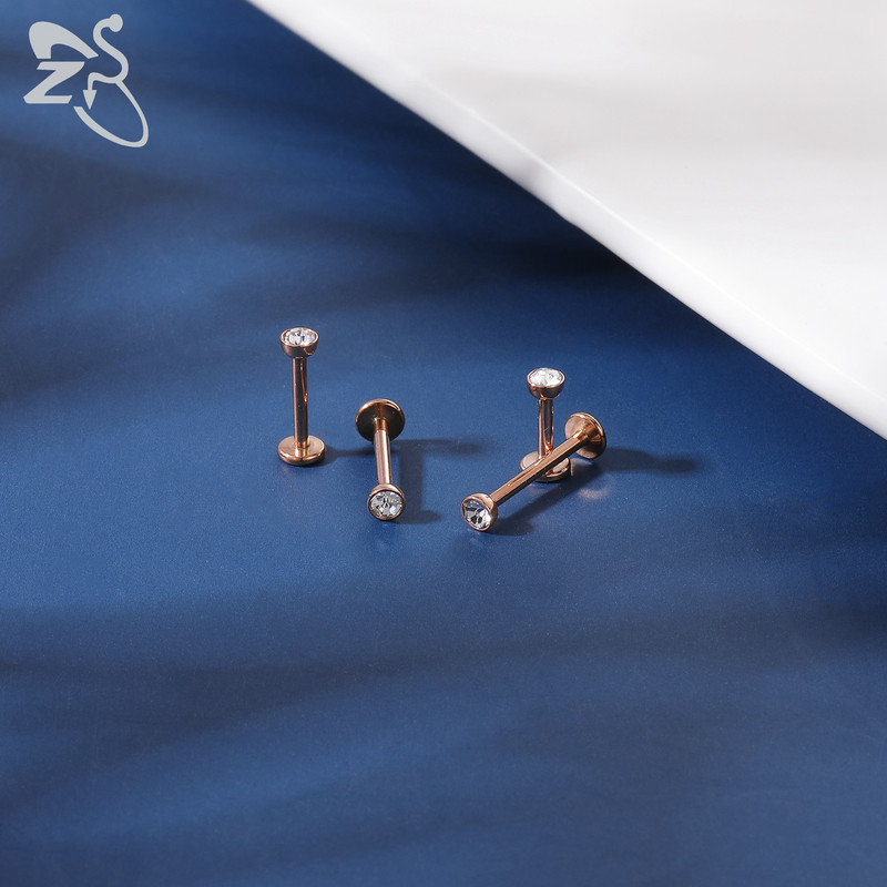 ZS 6-15 kom/lot Plug-in Style 316L nehrđajući čelik Piercing za usne Labret CZ Crystal Threadless Helix Conch Monroe piercing 6-12 MM