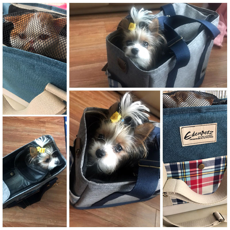 EDENPETZ Pet Carrier Udobna prozračna ručna torba Vodootporna podstava Putna torba na rame za mačke pse