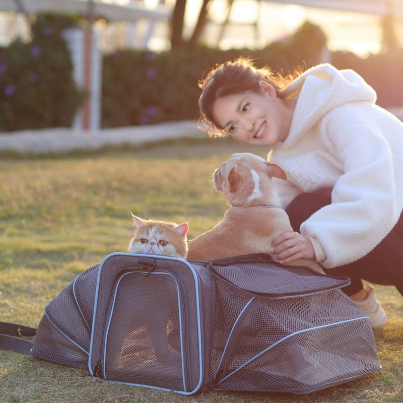 Proširiva nosiljka za mačke Nosiljka za pse, odobrena od zračnih prijevoznika Prijenosna periva nosiljka za kućne ljubimce za mačiće