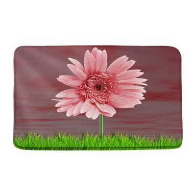 Bijele tratinčice Kupaonske prostirke Bez mulja Ružičasto narančasto cvijeće Odraz rose Cvjetni kupaonski tepisi Tepisi Unutarnji otirači Podna podloga