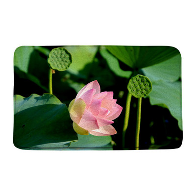 Vasaras augi Ziedi Vannas paklājiņi Rozā lotosa ainava Zaļās lapas Ziedu dārzs Vannas istabas dekors Paklājs Neslīdošs virtuves durvju paklājiņš