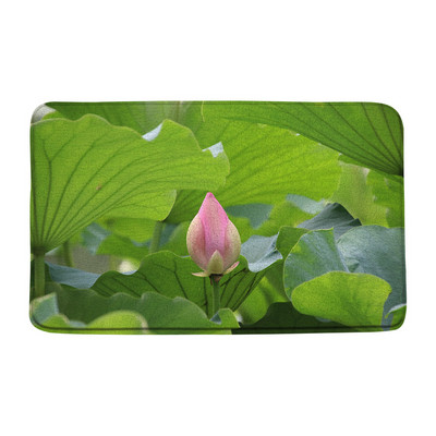 Vasaras augi Ziedi Vannas paklājiņi Rozā lotosa ainava Zaļās lapas Ziedu dārzs Vannas istabas dekors Paklājs Neslīdošs virtuves durvju paklājiņš