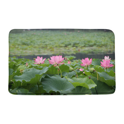 Vasaras augi Ziedi Vannas paklājiņi Rozā lotosa ainava Zaļās lapas Ziedu dārzs Vannas istabas dekors Paklājs Neslīdošs virtuves durvju paklājiņš