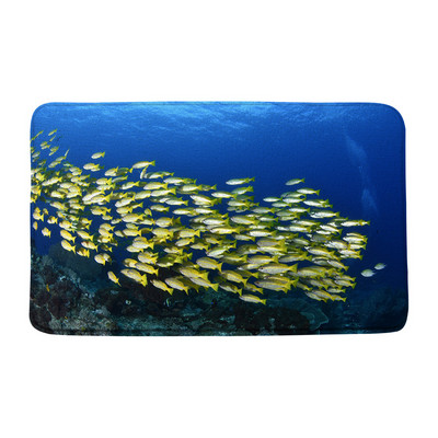 Zemūdens pasaule Tropiskās zivis Vannas paklājiņi Virtuves Kājslauķis Dzīvnieks Okeāna Bruņurupucis Ainavas istaba Durvju spilventiņi Grīdas Paklāji Pretslīdes paklājs