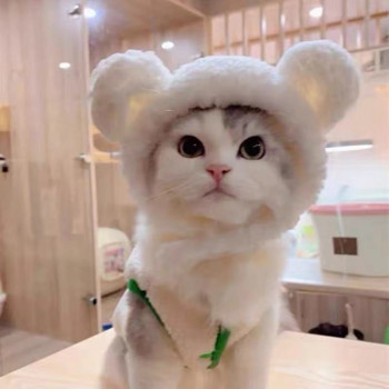 Αστεία χαριτωμένα καλύμματα κεφαλής γάτας Καπέλο κεφαλής για σκύλους Καπέλο γενεθλίων ντύσιμο κεφαλής Λούτρινα αυτιά κουνελιού Προμήθειες για κατοικίδια Αξεσουάρ για κατοικίδια Καπέλο γάτας