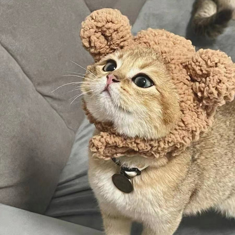 Smiješna slatka mačka Pokrivala za glavu Pokrivala za pse Šešir Rođendanska maska za dotjerivanje Plišane zečje uši Oprema za kućne ljubimce Pribor za kućne ljubimce Šešir za mačke