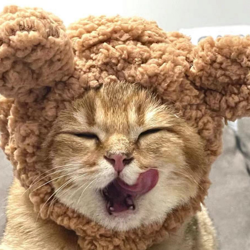 Smiješna slatka mačka Pokrivala za glavu Pokrivala za pse Šešir Rođendanska maska za dotjerivanje Plišane zečje uši Oprema za kućne ljubimce Pribor za kućne ljubimce Šešir za mačke