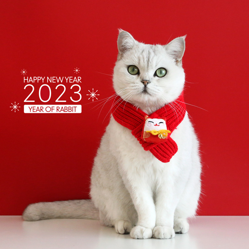 2023 Nova godina Zec Mrkva Lucky Cat Bag Kućni ljubimac Mačka Pas Pređa za pletenje Svečani šal Bib Pletenje Pseći šal Mačka Blagdanski dar Ovratnik