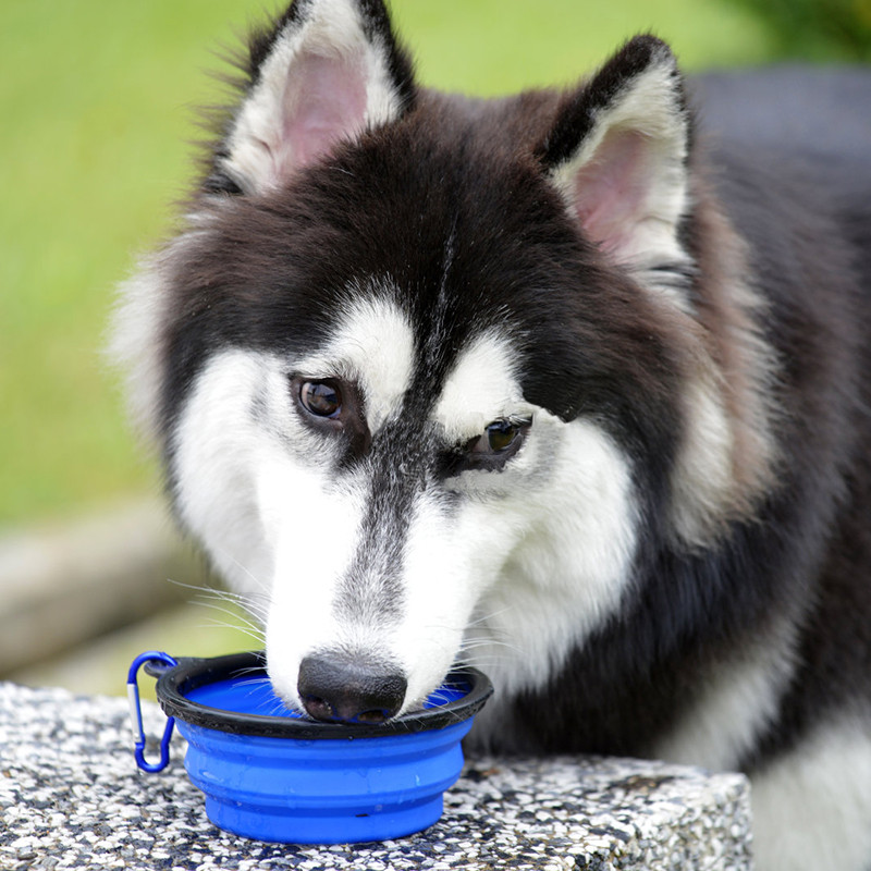 1000 ml zdjela za pse, velika sklopiva silikonska zdjela za mačke, prijenosna posuda za putovanja na otvorenom, posuda za hranu za štene, hranilica, zdjela za vodu