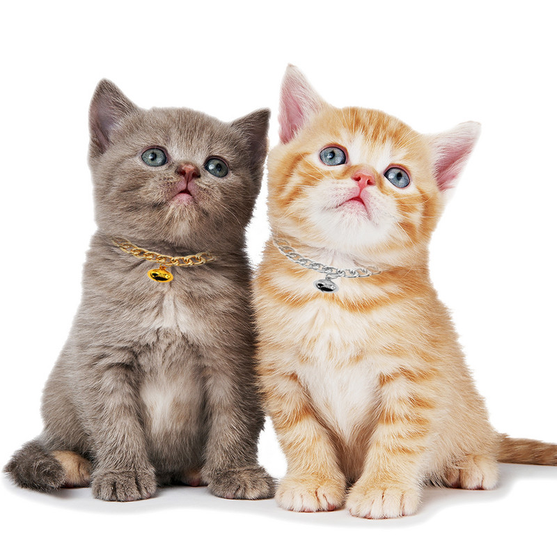 1kom ogrlica za kućne ljubimce Modno zvono Dekor Aluminijska ogrlica za pse i mačke Ogrlica za kućne ljubimce Nakit Odjevni dodaci Oprema za kućne ljubimce