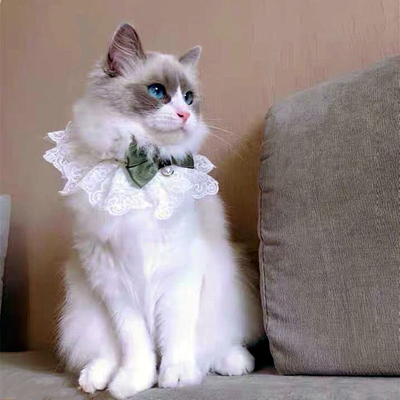 Oriģināla dizaina mežģīņu lente suns tauriņš organza kokvilnas marle suns kaklarota priekšauti Kaķu aksesuāri īpaši kaķēnu mājdzīvnieku produkti