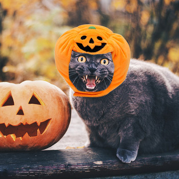 Αστείο καπέλο για γάτα Κολοκύθα καπέλο νυχτερίδας φόρεμα στολή Καπέλο κατοικίδιων ζώων Halloween Cosplay Ζεστό καπέλο για σκύλους Καπέλα Αξεσουάρ για κουτάβι γάτα