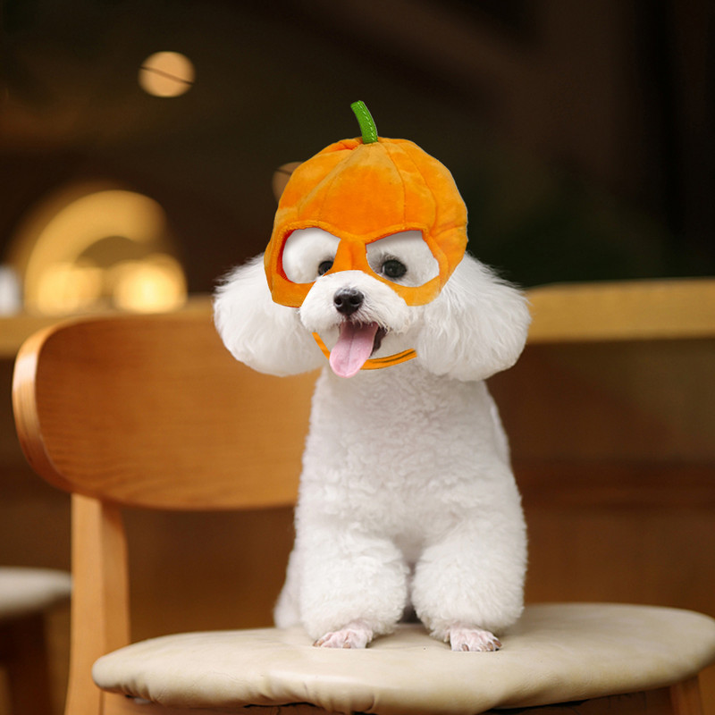 Smieklīga cepure kaķim Ķirbim Sikspārnis Cepure Saģērbt Kostīms Mājdzīvnieka cepure Helovīna Cosplay Siltas galvassegas Suņiem Cepures Kucēns Kaķis Aksesuāri