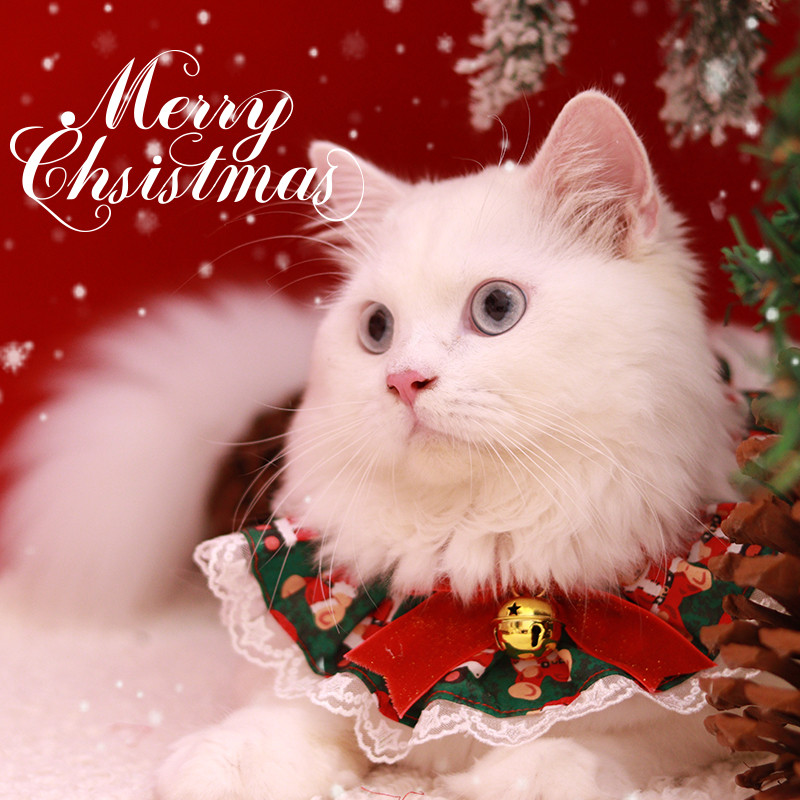 Novi jedinstveni stil Crvena mačka Marama za Božić Bear Doll Royal Dog Bowtie Ogrlica Jingle Bell s mašnom Russian Blue Tag