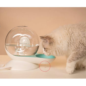 Snails Bubble Automatic Cat Water Bowl Fountain for Pets Water Dispenser Μεγάλο μπολ ποτού Cat Drink No Electricity