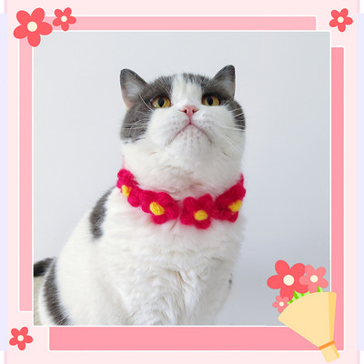 Ogrlice za kućne ljubimce Ogrlice za mačke Nakit za pse Pleteni slatki cvjetići Podesivi ukrasi za kućne ljubimce Oprema za kućne ljubimce Pribor za kućne ljubimce Pribor za mačke