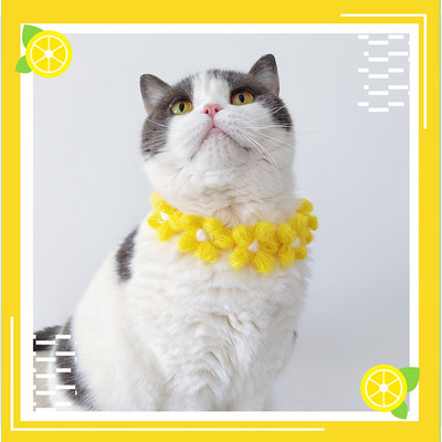 Ogrlice za kućne ljubimce Ogrlice za mačke Nakit za pse Pleteni slatki cvjetići Podesivi ukrasi za kućne ljubimce Oprema za kućne ljubimce Pribor za kućne ljubimce Pribor za mačke