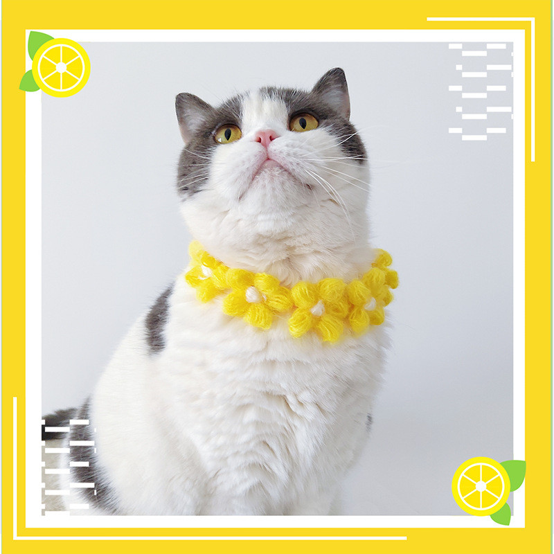 Ogrlice za kućne ljubimce Ogrlice za mačke Nakit za pse Pleteni slatki cvjetići Podesivi ukrasi za kućne ljubimce Oprema za kućne ljubimce Pribor za kućne ljubimce Pribor za mačke