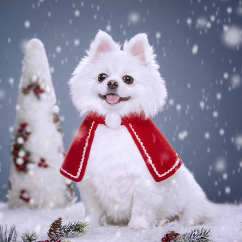 Mačji ogrtač sa zvonom Božićna odjeća Novogodišnji ljubimac Crveni ogrtač Pokrivalo za glavu Plašt Odjeća za kućne ljubimce