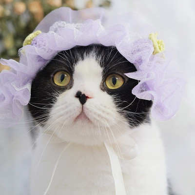 Lolita szobalány macska fülek fejpántos sapka japán stílusú csipke szalagos fejfedő anime cosplay macskaszőr kiegészítők