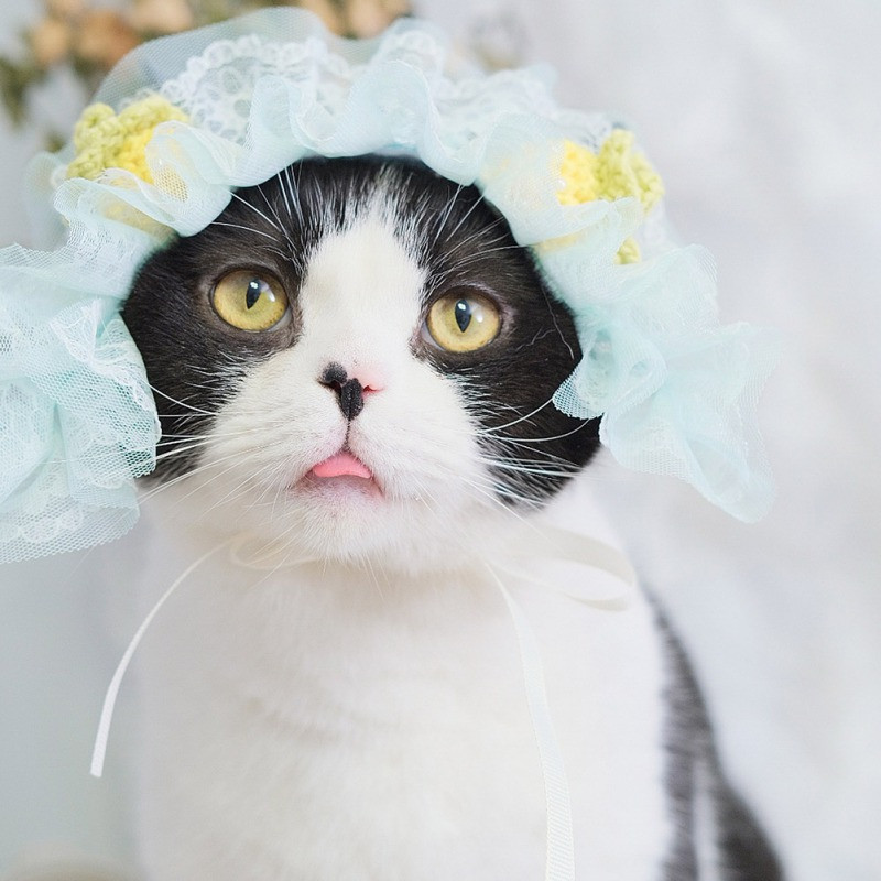 Lolita Maid Cat Ausis Galvassega cepure japāņu stila mežģīņu lentes galvassegas Anime Cosplay kaķu matu aksesuāri