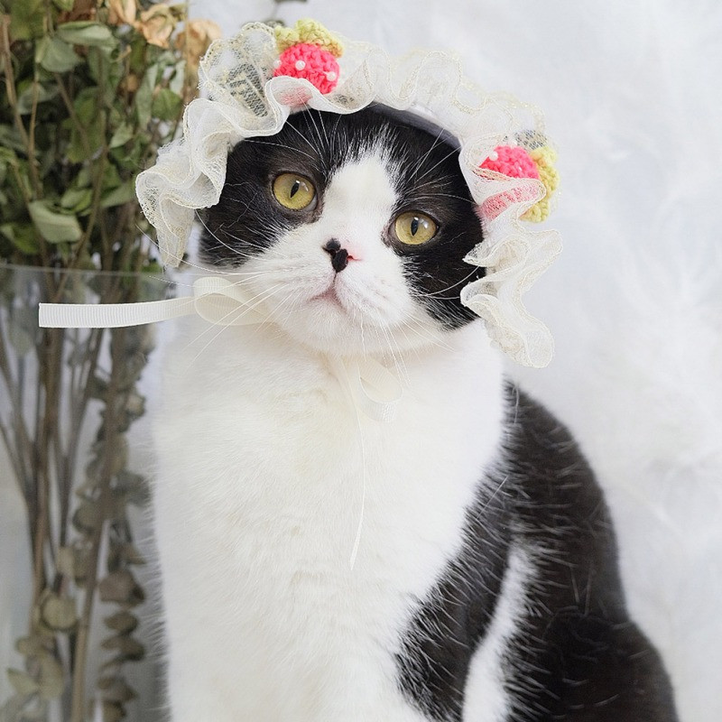 Lolita Maid Cat Ausis Galvassega cepure japāņu stila mežģīņu lentes galvassegas Anime Cosplay kaķu matu aksesuāri